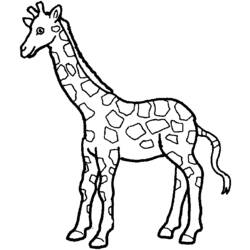 Dibujo para colorear: Zoo (Animales) #12745 - Dibujos para Colorear e Imprimir Gratis
