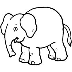 Dibujo para colorear: Zoo (Animales) #12797 - Dibujos para Colorear e Imprimir Gratis