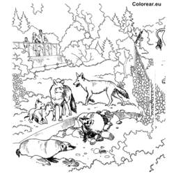 Dibujo para colorear: Zoo (Animales) #12848 - Dibujos para Colorear e Imprimir Gratis
