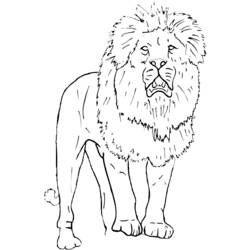 Dibujo para colorear: Zoo (Animales) #12893 - Dibujos para Colorear e Imprimir Gratis