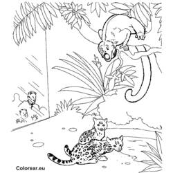 Dibujo para colorear: Zoo (Animales) #12916 - Dibujos para Colorear e Imprimir Gratis