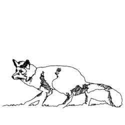 Dibujo para colorear: Zorro (Animales) #15051 - Dibujos para Colorear e Imprimir Gratis