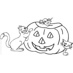 Dibujo para colorear: Halloween (Fiestas y ocasiones especiales) #55485 - Dibujos para Colorear e Imprimir Gratis