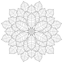 Dibujo para colorear: Mandalas Flores (Mandalas) #117053 - Dibujos para Colorear e Imprimir Gratis