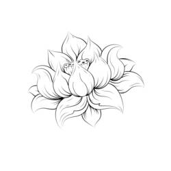 Dibujo para colorear: Mandalas Flores (Mandalas) #117153 - Dibujos para Colorear e Imprimir Gratis