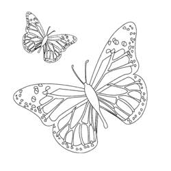 Dibujo para colorear: Mandalas Mariposa (Mandalas) #117410 - Dibujos para Colorear e Imprimir Gratis