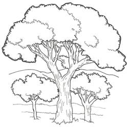 Dibujo para colorear: Árbol (Naturaleza) #154733 - Dibujos para Colorear e Imprimir Gratis