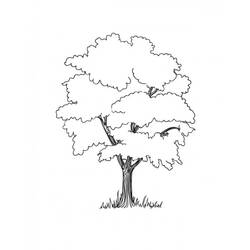 Dibujo para colorear: Árbol (Naturaleza) #154760 - Dibujos para Colorear e Imprimir Gratis