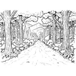 Dibujo para colorear: Bosque (Naturaleza) #157003 - Dibujos para Colorear e Imprimir Gratis