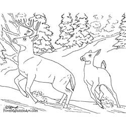 Dibujo para colorear: Bosque (Naturaleza) #157042 - Dibujos para Colorear e Imprimir Gratis