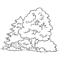 Dibujo para colorear: Bosque (Naturaleza) #157044 - Dibujos para Colorear e Imprimir Gratis