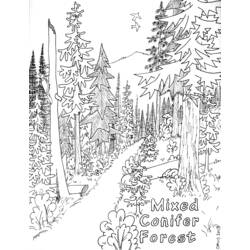 Dibujo para colorear: Bosque (Naturaleza) #157046 - Dibujos para Colorear e Imprimir Gratis