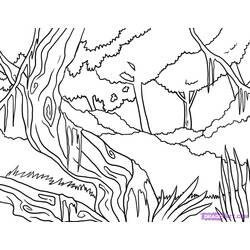 Dibujo para colorear: Bosque (Naturaleza) #157202 - Dibujos para Colorear e Imprimir Gratis