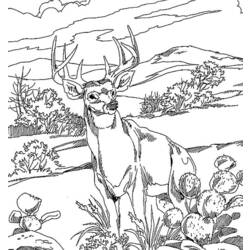 Dibujo para colorear: Bosque (Naturaleza) #157212 - Dibujos para Colorear e Imprimir Gratis
