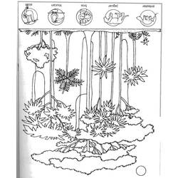 Dibujo para colorear: Bosque (Naturaleza) #157251 - Dibujos para Colorear e Imprimir Gratis