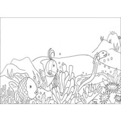 Dibujo para colorear: Coral (Naturaleza) #162795 - Dibujos para Colorear e Imprimir Gratis