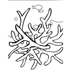 Dibujo para colorear: Coral (Naturaleza) #162890 - Dibujos para Colorear e Imprimir Gratis