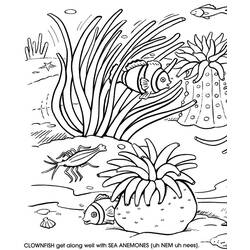 Dibujo para colorear: Coral (Naturaleza) #162920 - Dibujos para Colorear e Imprimir Gratis