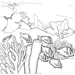 Dibujo para colorear: Coral (Naturaleza) #162958 - Dibujos para Colorear e Imprimir Gratis