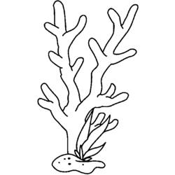 Dibujo para colorear: Coral (Naturaleza) #162999 - Dibujos para Colorear e Imprimir Gratis