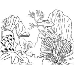 Dibujo para colorear: Coral (Naturaleza) #163034 - Dibujos para Colorear e Imprimir Gratis