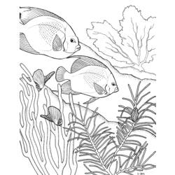 Dibujo para colorear: Coral (Naturaleza) #163040 - Dibujos para Colorear e Imprimir Gratis