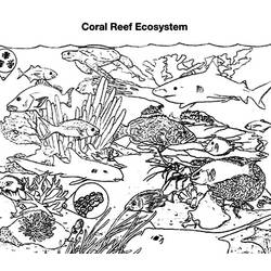 Dibujo para colorear: Coral (Naturaleza) #163088 - Dibujos para Colorear e Imprimir Gratis
