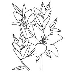 Dibujo para colorear: Flores (Naturaleza) #154969 - Dibujos para Colorear e Imprimir Gratis