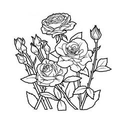 Dibujo para colorear: Flores (Naturaleza) #154978 - Dibujos para Colorear e Imprimir Gratis