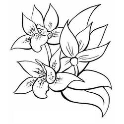 Dibujo para colorear: Flores (Naturaleza) #154979 - Dibujos para Colorear e Imprimir Gratis