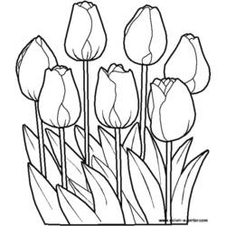 Dibujo para colorear: Flores (Naturaleza) #154985 - Dibujos para Colorear e Imprimir Gratis