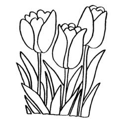 Dibujo para colorear: Flores (Naturaleza) #154991 - Dibujos para Colorear e Imprimir Gratis