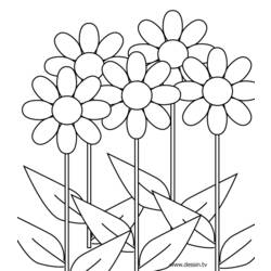 Dibujo para colorear: Flores (Naturaleza) #154997 - Dibujos para Colorear e Imprimir Gratis