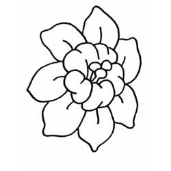 Dibujo para colorear: Flores (Naturaleza) #155010 - Dibujos para Colorear e Imprimir Gratis