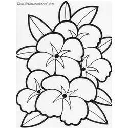 Dibujo para colorear: Flores (Naturaleza) #155030 - Dibujos para Colorear e Imprimir Gratis