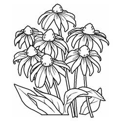 Dibujo para colorear: Flores (Naturaleza) #155142 - Dibujos para Colorear e Imprimir Gratis