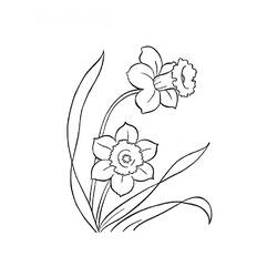 Dibujo para colorear: Flores (Naturaleza) #155250 - Dibujos para Colorear e Imprimir Gratis