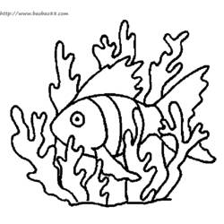 Dibujo para colorear: Fondo del mar (Naturaleza) #160144 - Dibujos para Colorear e Imprimir Gratis