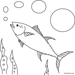Dibujo para colorear: Fondo del mar (Naturaleza) #160160 - Dibujos para Colorear e Imprimir Gratis