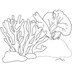 Dibujo para colorear: Fondo del mar (Naturaleza) #160193 - Dibujos para Colorear e Imprimir Gratis