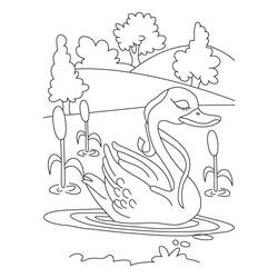 Dibujo para colorear: Lago (Naturaleza) #166076 - Dibujos para Colorear e Imprimir Gratis