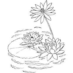Dibujo para colorear: Lago (Naturaleza) #166200 - Dibujos para Colorear e Imprimir Gratis