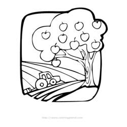 Dibujo para colorear: Manzano (Naturaleza) #163750 - Dibujos para Colorear e Imprimir Gratis