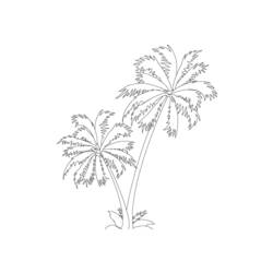 Dibujo para colorear: Palma (Naturaleza) #161122 - Dibujos para Colorear e Imprimir Gratis