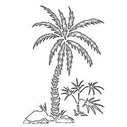 Dibujo para colorear: Palma (Naturaleza) #161123 - Dibujos para Colorear e Imprimir Gratis