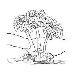 Dibujo para colorear: Palma (Naturaleza) #161153 - Dibujos para Colorear e Imprimir Gratis