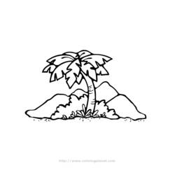 Dibujo para colorear: Palma (Naturaleza) #161169 - Dibujos para Colorear e Imprimir Gratis