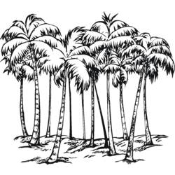 Dibujo para colorear: Palma (Naturaleza) #161177 - Dibujos para Colorear e Imprimir Gratis