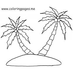 Dibujo para colorear: Palma (Naturaleza) #161278 - Dibujos para Colorear e Imprimir Gratis