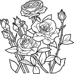 Dibujo para colorear: Ramo de flores (Naturaleza) #160730 - Dibujos para Colorear e Imprimir Gratis